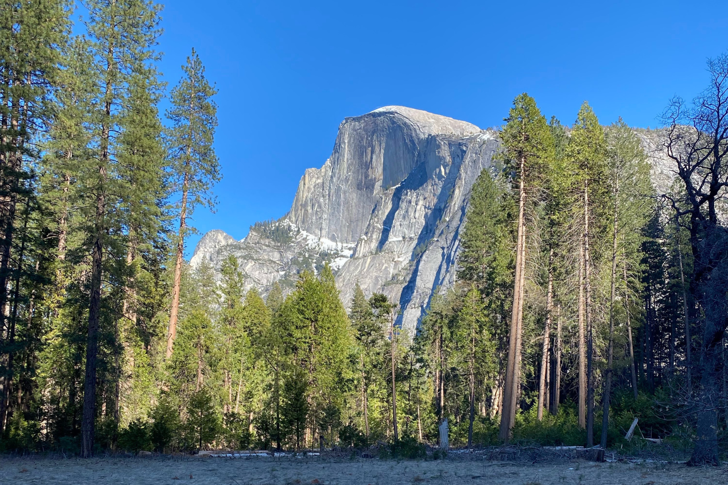 Trip Report | What To Do In Yosemite National Park